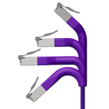 Broadbe cable de conexión delgado 10G morado 0.3m